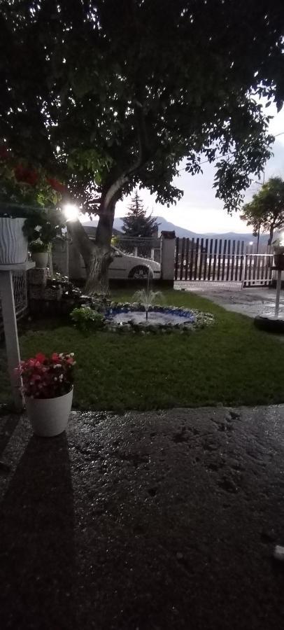 Sobe Lara Διαμέρισμα Donji Milanovac Εξωτερικό φωτογραφία